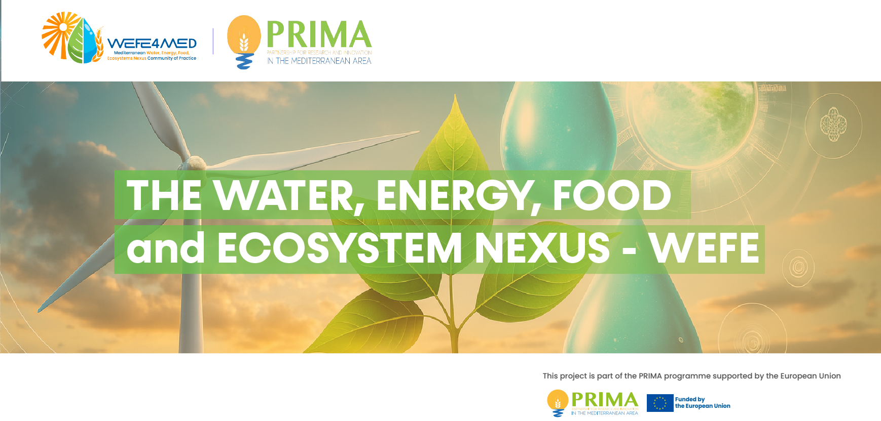 The NEXUS WEFE 1-2025