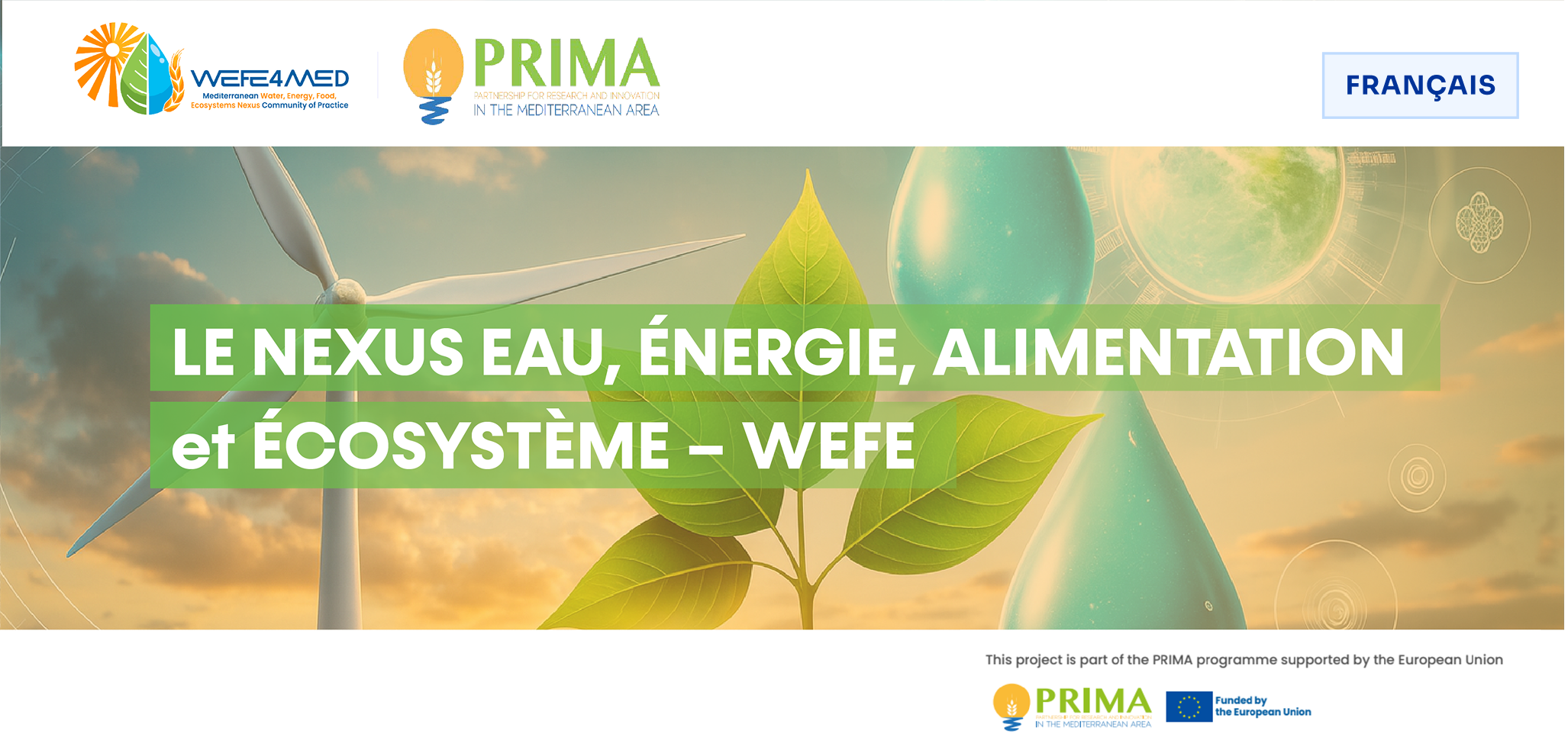 LE NEXUS EAU, ÉNERGIE, ALIMENTATION et ÉCOSYSTÈME – WEFE 2-2026